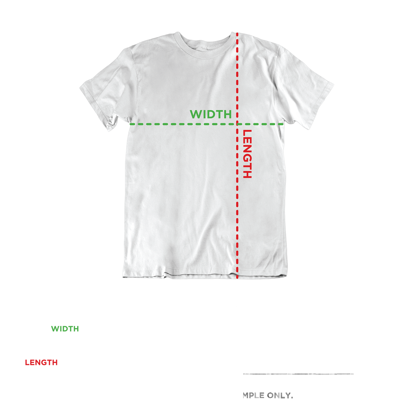 The NBA T-Shirt
