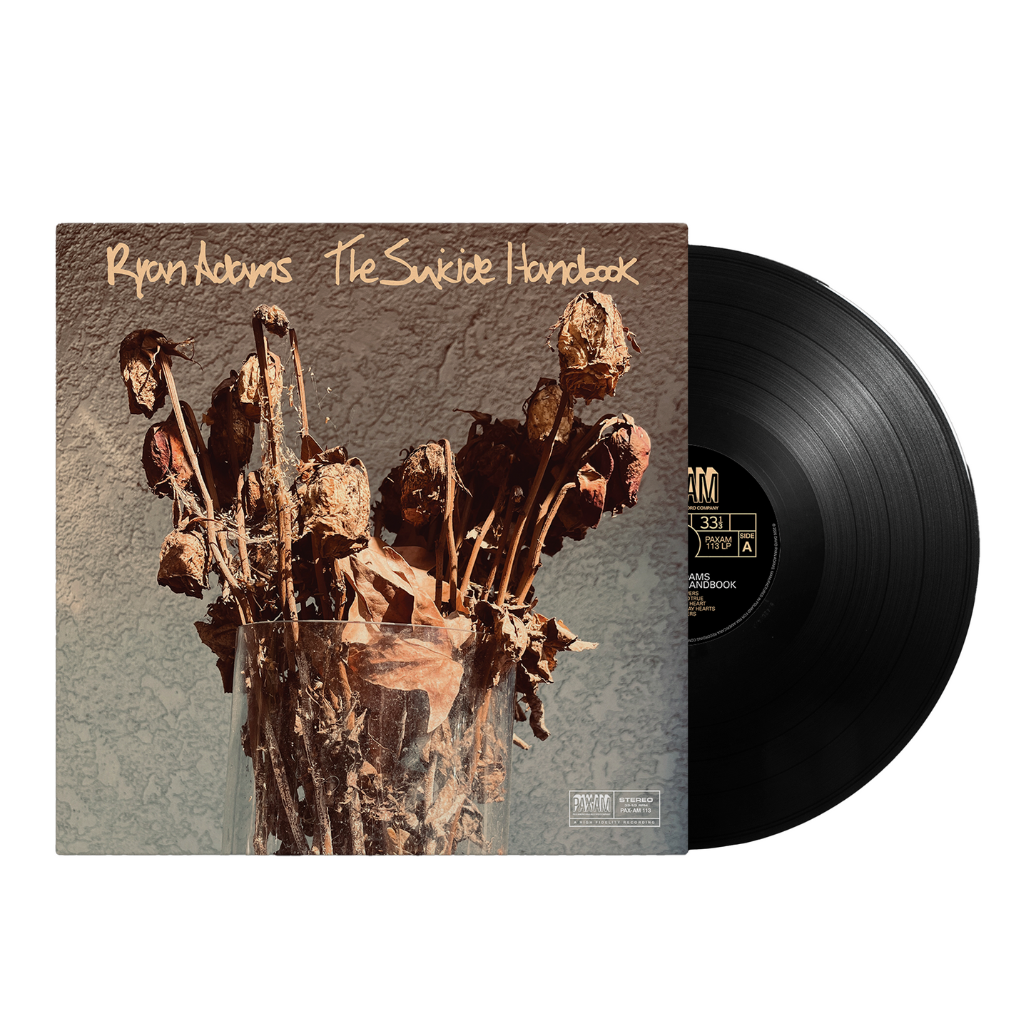 The Suicide Handbook Double LP